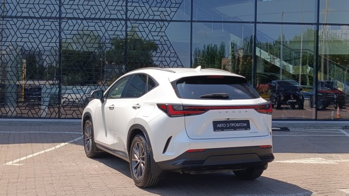 Lexus Nx Business 2022
